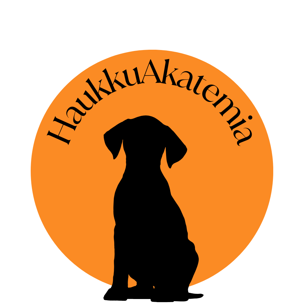 Haukkuakatemian logo. Musta koira istuu valokeilassa. Teksti: Haukkuakatemia.